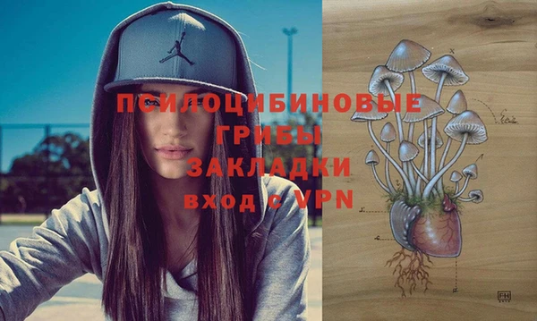 винт Струнино