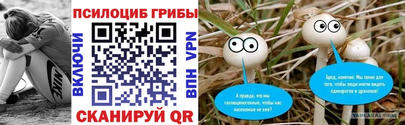 Галлюциногенные грибы прущие грибы  Купить  Дигора 